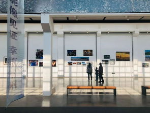 定格金秋，珍藏时光 摄影扩印，让美好从指尖溜走变为永恒驻足